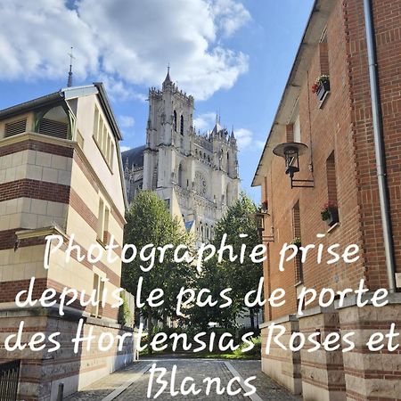 Les Hortensias Blancs Studio Amiens Exterior photo