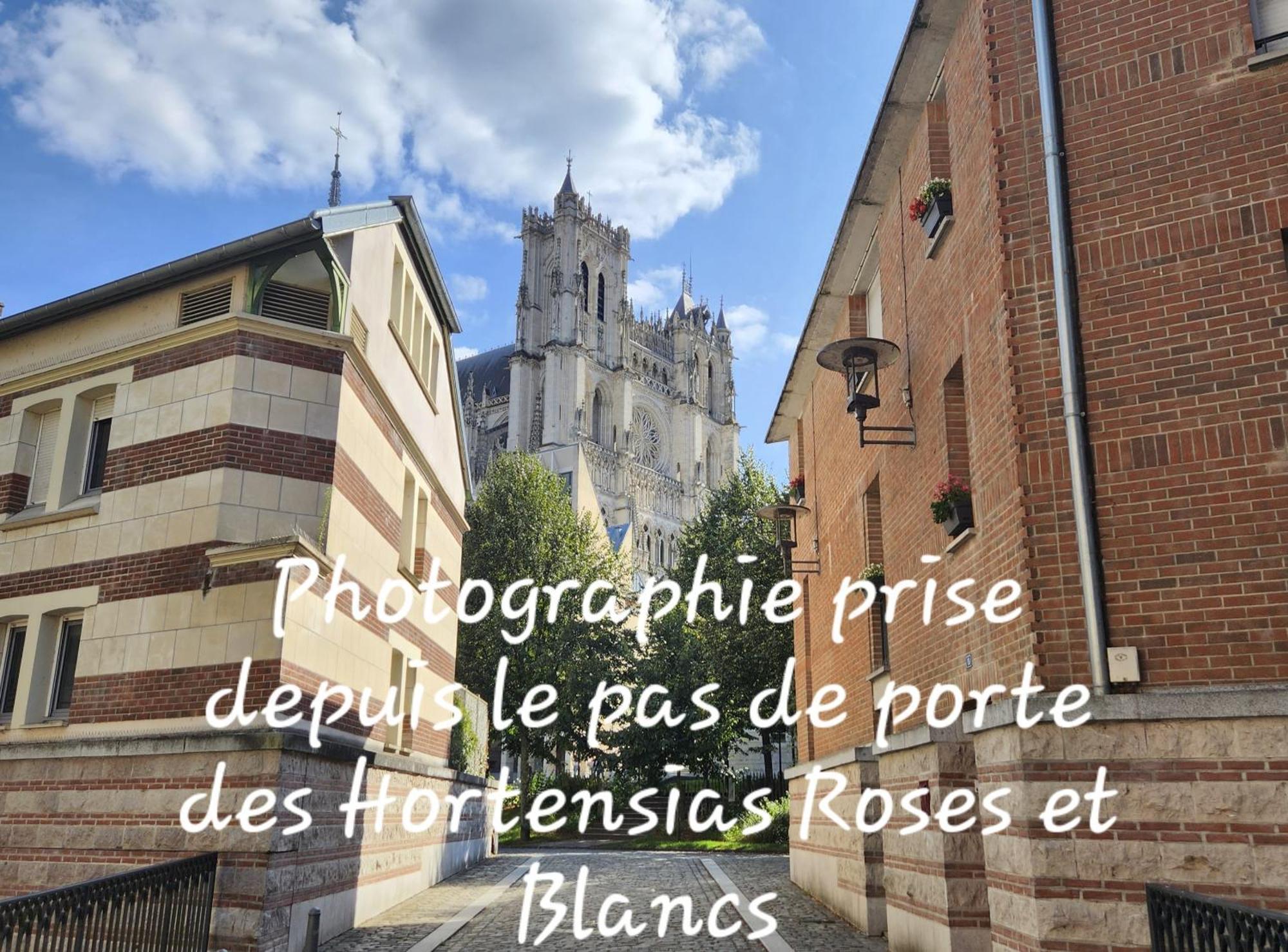 Les Hortensias Blancs Studio Amiens Exterior photo
